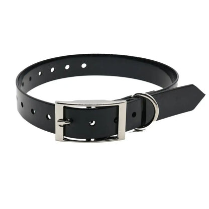 Waterproof Nylon Dog Collar with Adjustable Fit