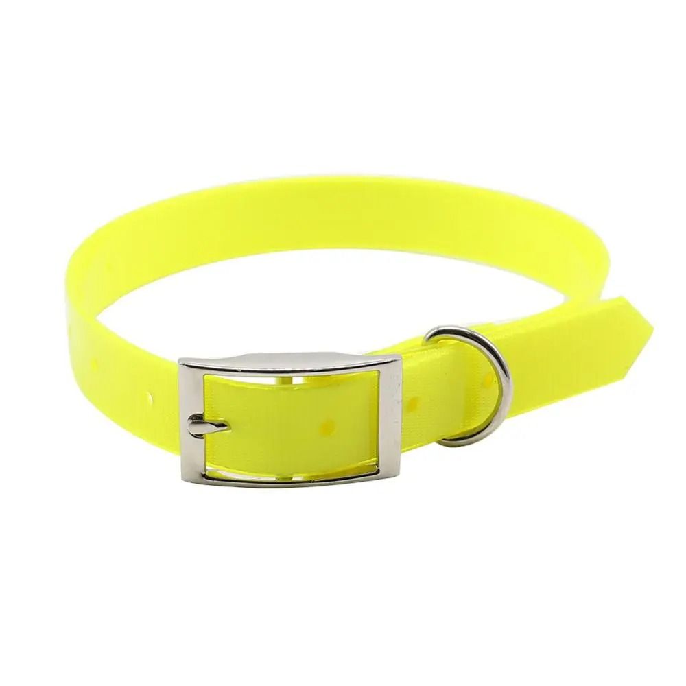 Waterproof Nylon Dog Collar with Adjustable Fit