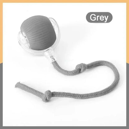NewSpeedy Tail 2.0 Interactive Cat Toy Ball