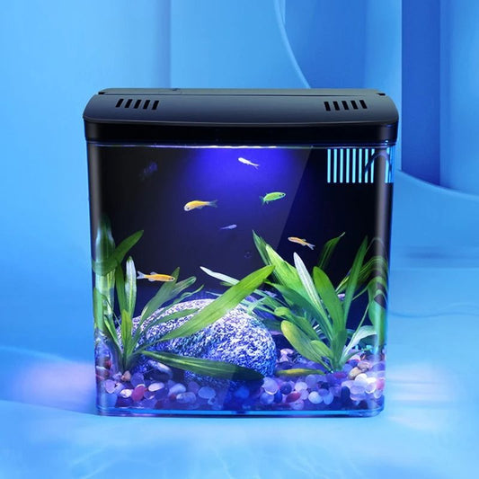 Mini Fish Tank with Self Circulating Filter System for Living Room or Desktop