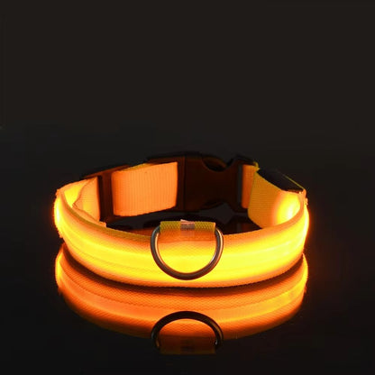 Nylon LED Glow Dog Leash & Collar Set - Night Safety Reflective Light-Up Pet Gear for Walks After Dark
