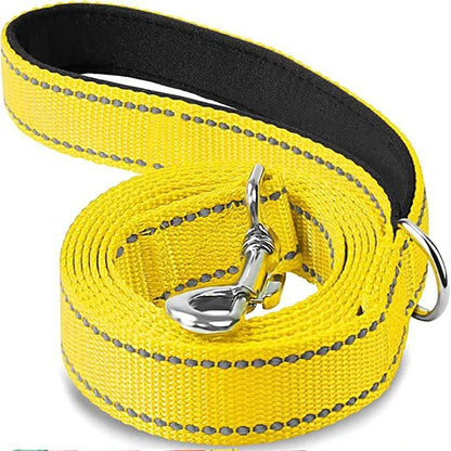 Adjustable Reflective Pet Harness And Leash Set