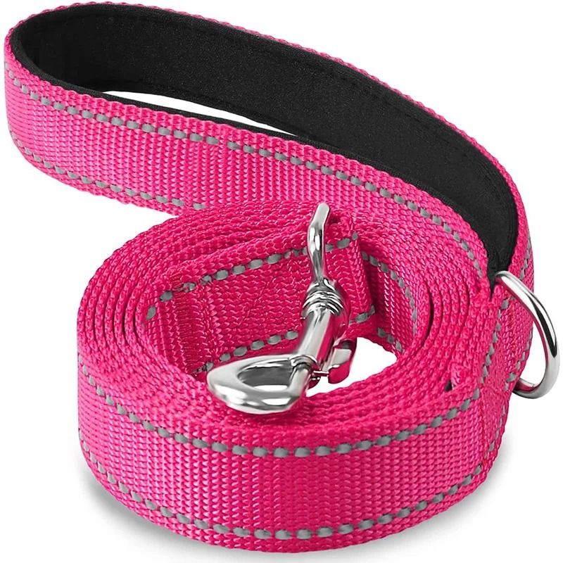 Adjustable Reflective Pet Harness And Leash Set