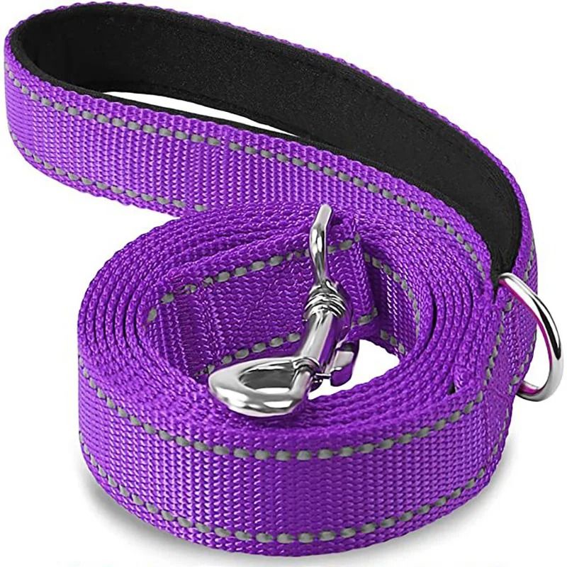 Adjustable Reflective Pet Harness And Leash Set
