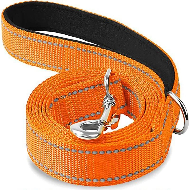 Adjustable Reflective Pet Harness And Leash Set