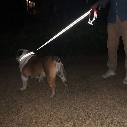 Adjustable Reflective Pet Harness And Leash Set