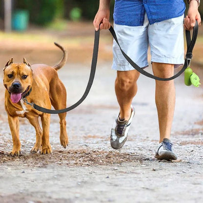 Adjustable Reflective Pet Harness And Leash Set