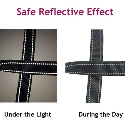 Adjustable Reflective Pet Harness And Leash Set