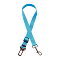 sky blue / a
