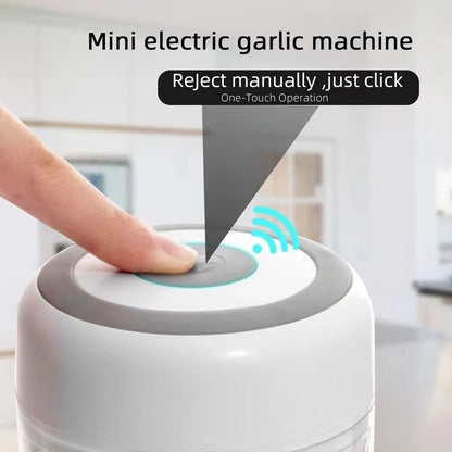 Mini USB Electric Food Chopper