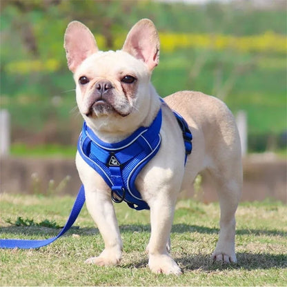 Adjustable Reflective No Pull Dog Harness And Leash Set