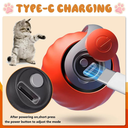 Interactive Smart Cat Toy Ball With Moving Tail
