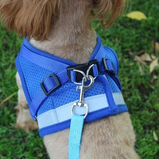 Adjustable Mesh Vest Harness And Leash Set For Dogs And Cats