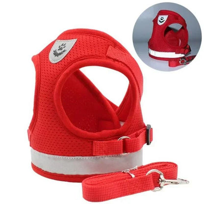 Adjustable Mesh Vest Harness And Leash Set For Dogs And Cats