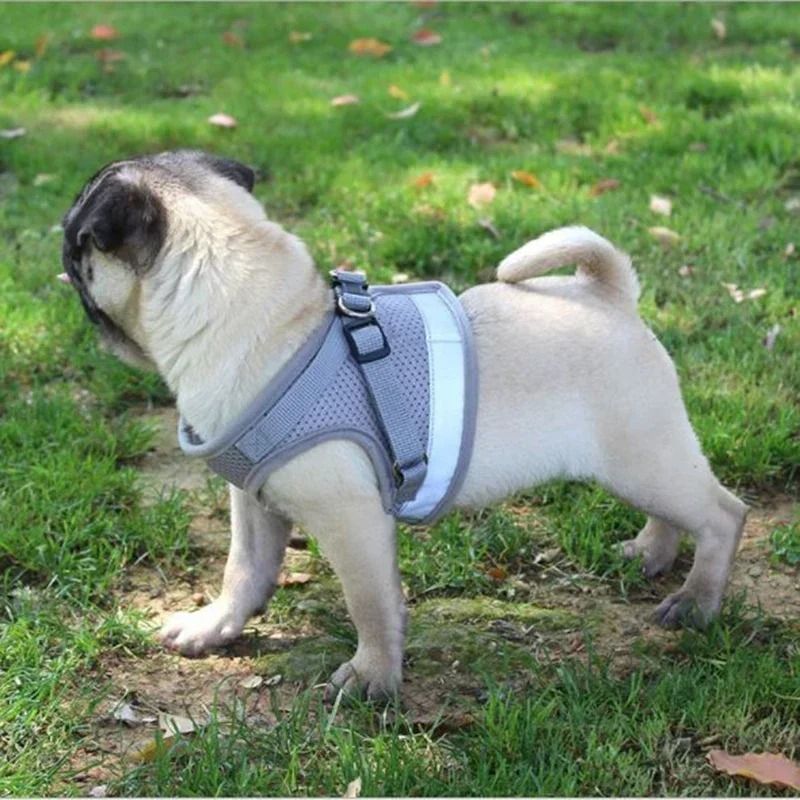 Adjustable Mesh Vest Harness And Leash Set For Dogs And Cats