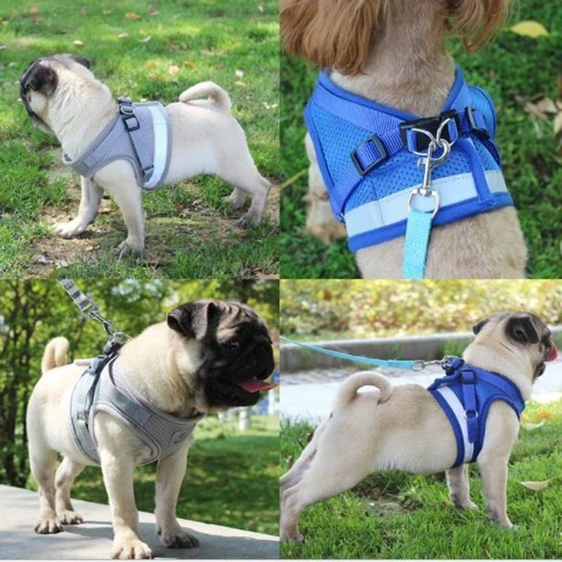 Adjustable Mesh Vest Harness And Leash Set For Dogs And Cats