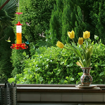 Hanging Anti Ant Leakproof Hummingbird Bird Feeder