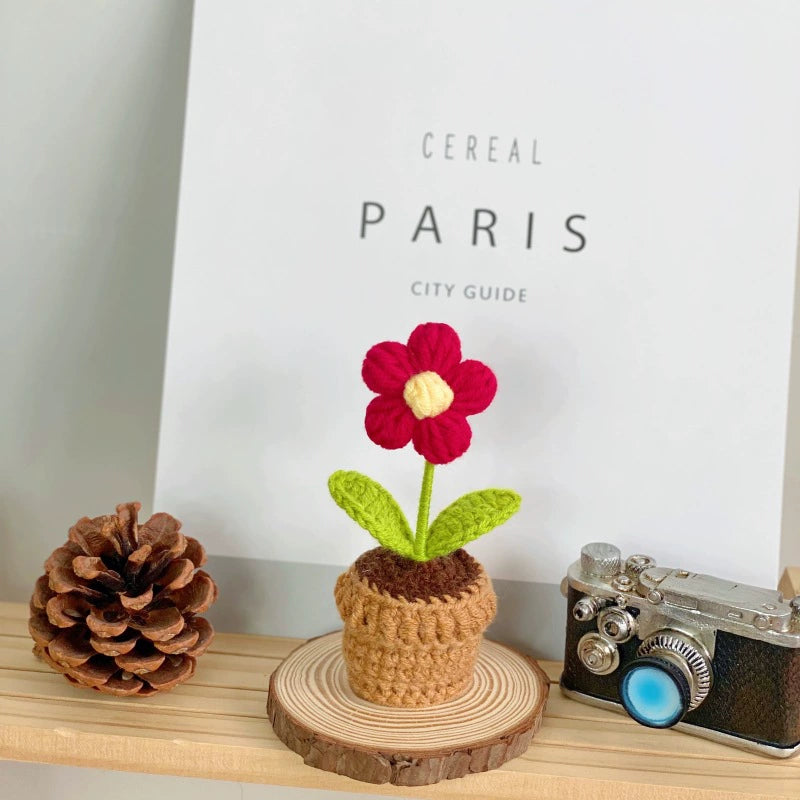 Handmade Knitted Flower Pot, Red Heart Shaped Planter, Valentine's Day Gift, Home Desktop Decor