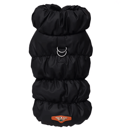 PawHaven Soft Padded Winter Dog Jacket for Small and Medium Pets