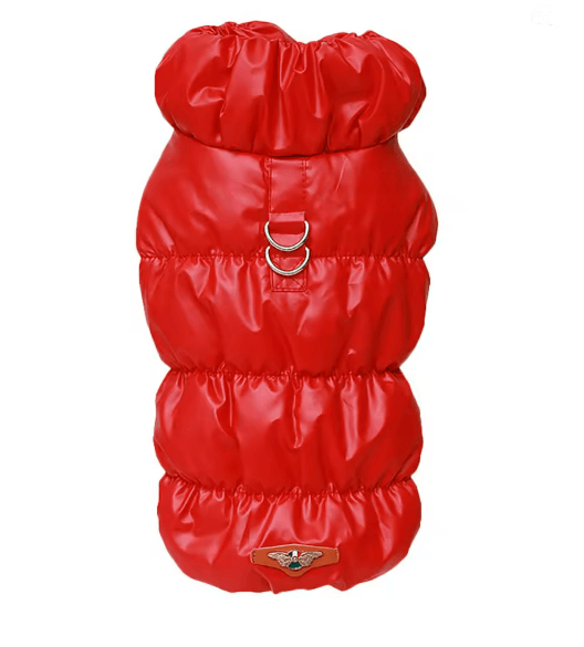 PawHaven Soft Padded Winter Dog Jacket for Small and Medium Pets