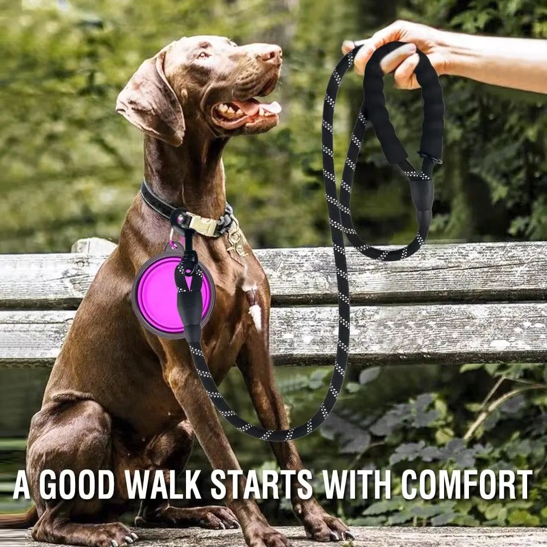 Durable Reflective Dog Leash – Heavy-Duty Nylon Lead for Small, Medium & Large Dogs