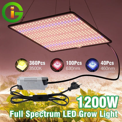LED Grow Light Full Spectrum Phyto Lamp For Indoor Plants