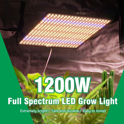 LED Grow Light Full Spectrum Phyto Lamp For Indoor Plants