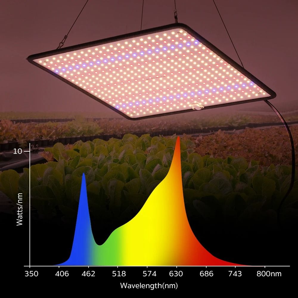 LED Grow Light Full Spectrum Phyto Lamp For Indoor Plants