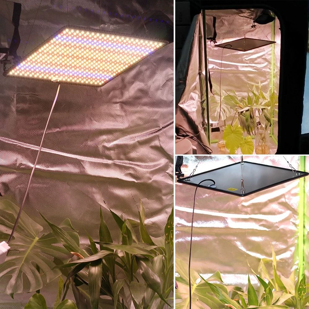 LED Grow Light Full Spectrum Phyto Lamp For Indoor Plants