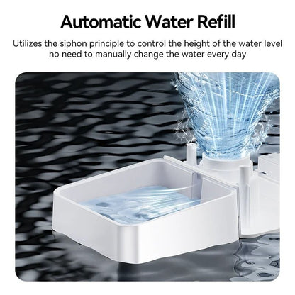 Automatic Pet Feeder and Water Fountain 8.5L Button Version for Cats and Dogs