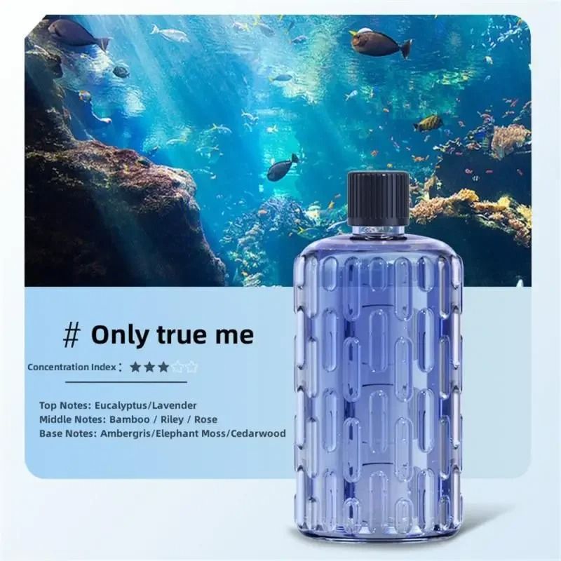 Aroma Diffuser and Air Humidifier