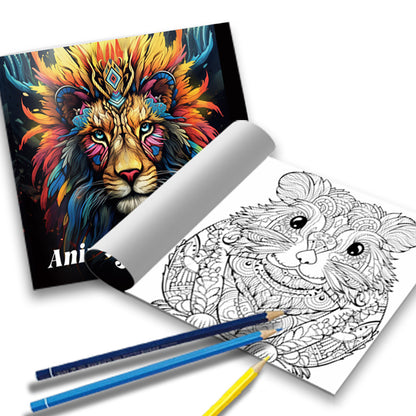 Creative Graffiti Art Coloring Book, Adults and Kids, Stress Relief Activity, Perfect Birthday Gift