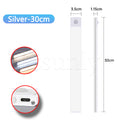 silvery 30cm