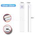 silvery 20cm