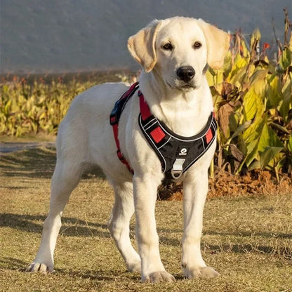Reflective Adjustable Dog Harness for Safe Walking and Training