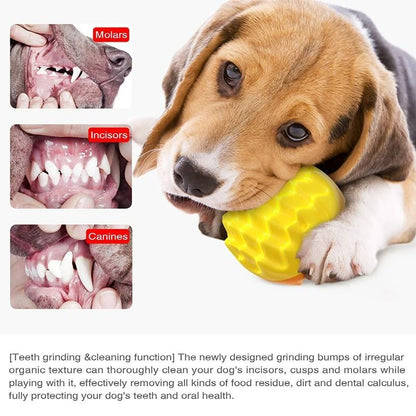 Pet Dog Ball Chew Toy for Small Medium and Large Dogs