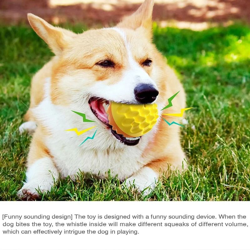 Pet Dog Ball Chew Toy for Small Medium and Large Dogs