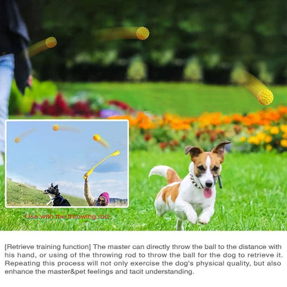Pet Dog Ball Chew Toy for Small Medium and Large Dogs