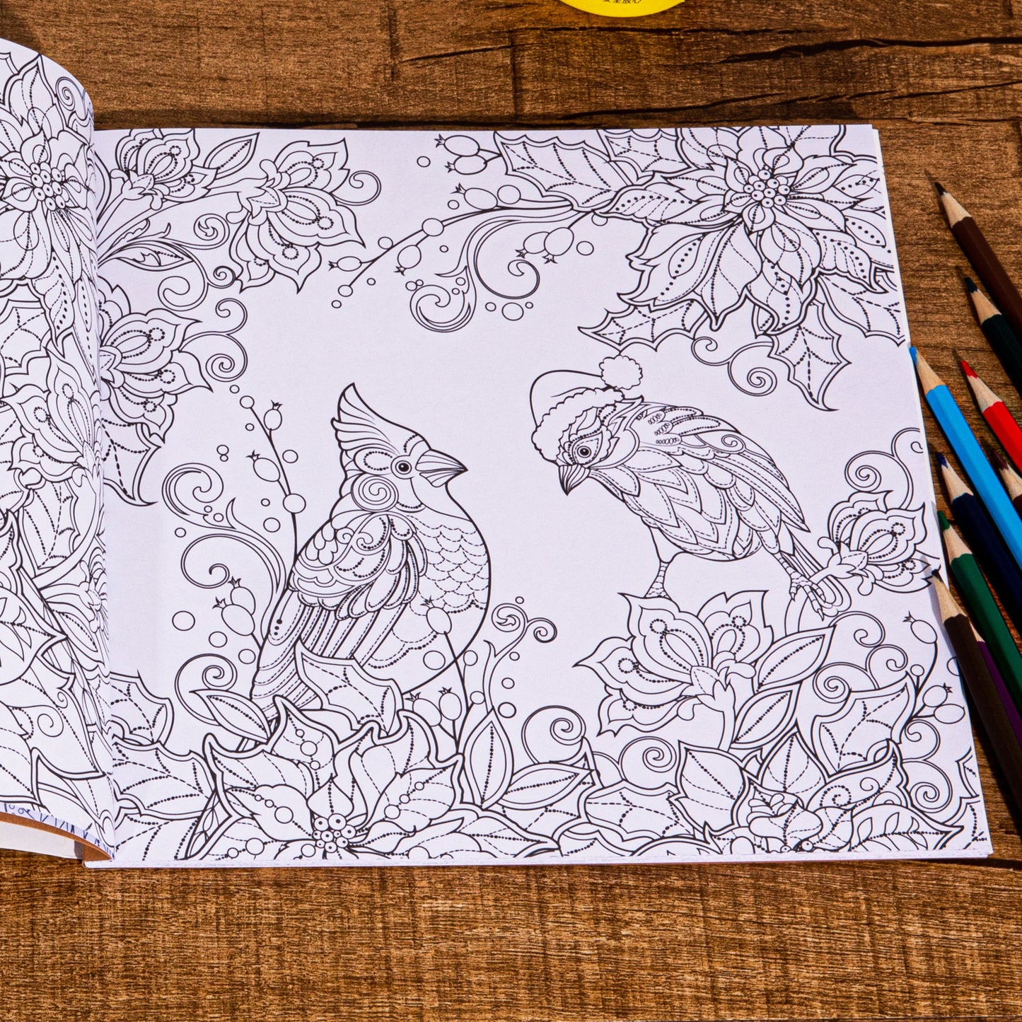 Magical Winter Coloring Book, for Stress Relief and Relaxation, Christmas and Winter Theme Graffiti Drawing Book