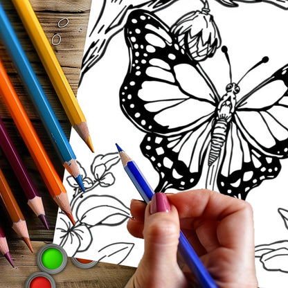 Cute Insects and Bugs Coloring Book for Adults, Colouring Book and Drawing Supplies for Christmas, Thanksgiving