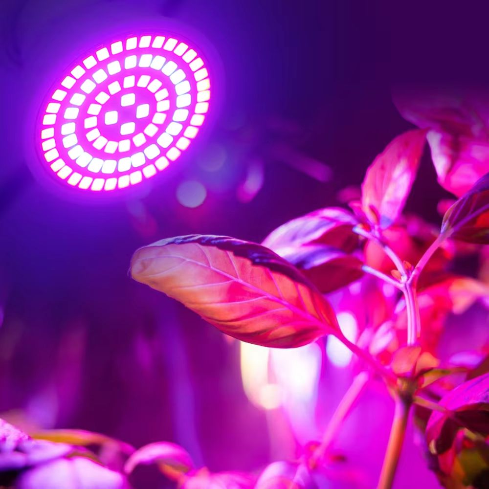 GreenGrowth Full-Spectrum E27 LED Grow Bulb – 60/80 LEDs 220 V for Indoor Plants