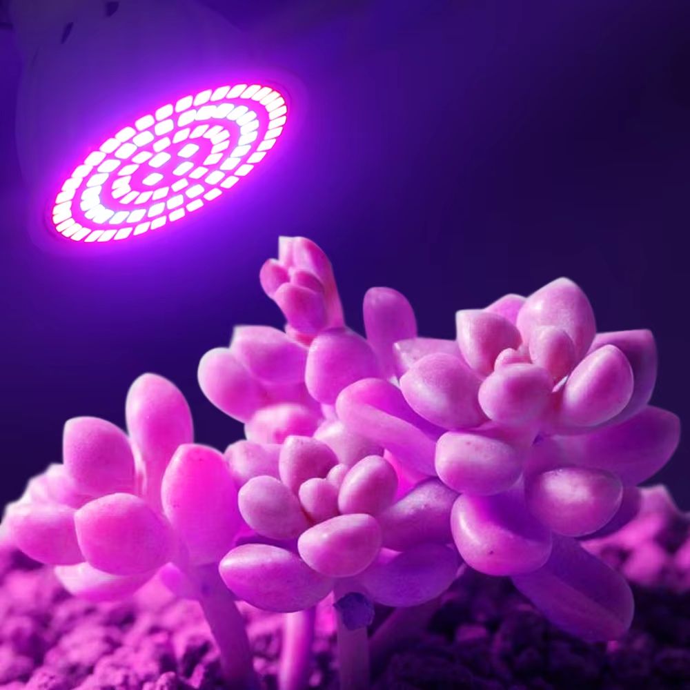 GreenGrowth Full-Spectrum E27 LED Grow Bulb – 60/80 LEDs 220 V for Indoor Plants