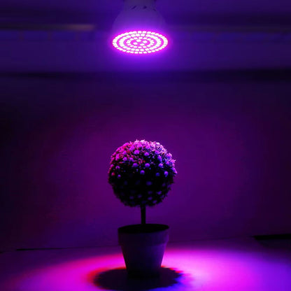 GreenGrowth Full-Spectrum E27 LED Grow Bulb – 60/80 LEDs 220 V for Indoor Plants