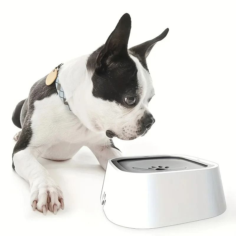 No Spill Slow Feeder Pet Water Bowl for Dogs and Cats