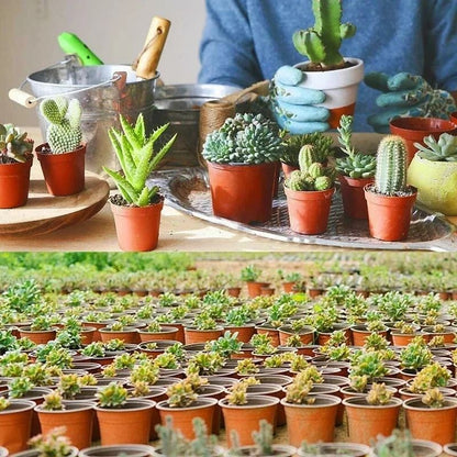 Flexible Plastic Nursery Pots 75 Pack for Seedlings Succulents and Transplants