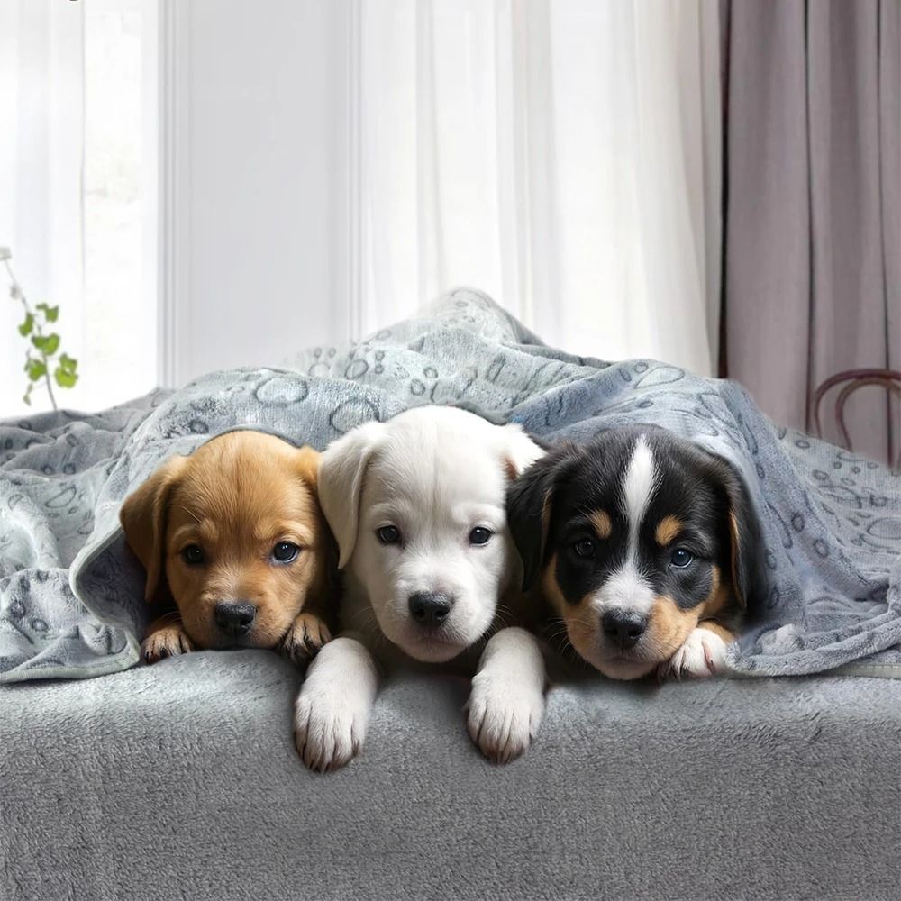 Soft Paw Print Pet Blanket for Dogs and Cats