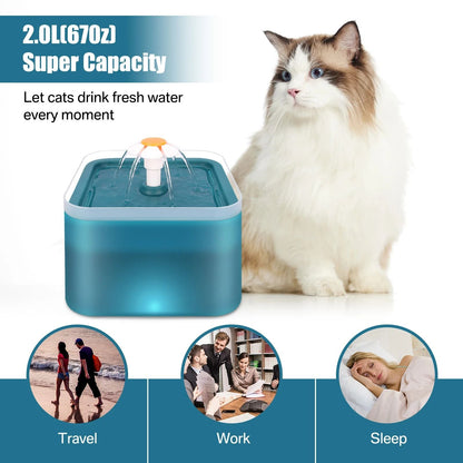 Ultra Silent Pet Fountain with LED Lighting and Activated Carbon Auto Filter Water Dispenser for Cats and Small Dogs