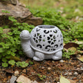 gray - turtle