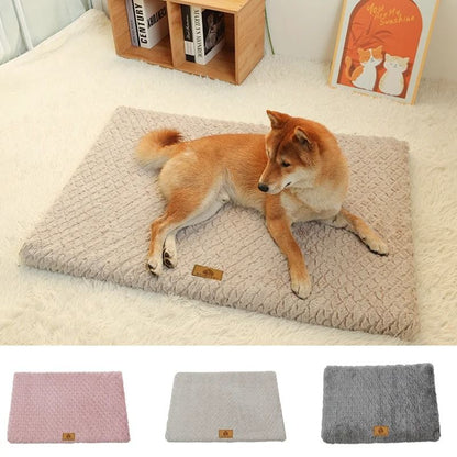 Plush Foam Pet Bed with Washable Cover