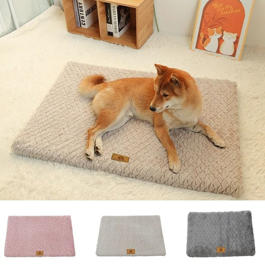 Plush Foam Pet Bed with Washable Cover